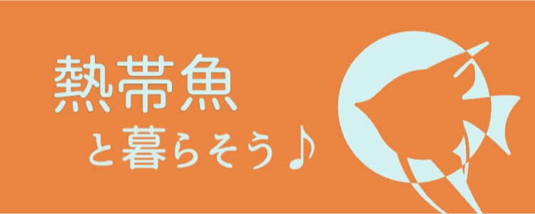cook 今日なに作ろ？